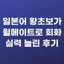 일본어 왕초보가 윌메이트로 회화 실력 늘린 후기
