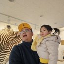 양평아프리카문화예술박물관 | [양평여행] 양평 아프리카문화예술박물관 다녀온후기(양평투어패스)