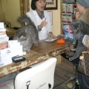 벌교동물병원 이미지