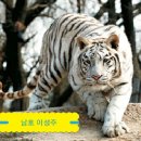 남호컨설팅 이미지