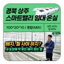 에스제이 다이아몬드 (SJ DIAMOND) | [후기] 임대 온실, 어떤 흙(배지)을 써야 할지 막막하세요? 🤔 상주 현장에서 답을 찾았습니다!