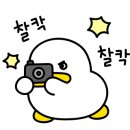 오복과일 이미지