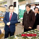 법인솔티 이미지