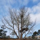 고택약수터 이미지