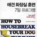 따라 애견학교 Daum카페