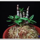 다두농장 이미지