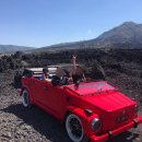 화산농장2 | 발리에서 할만한 것 추천｜뻔한 여행 싫다면 바투르 화산·우붓 올드카 투어