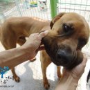 근수농장 이미지