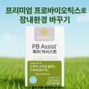 도테라