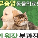 선부중앙동물의료센터 이미지
