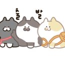 박현철베이커리 이미지