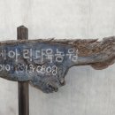 메아리다육농장 네이버블로그