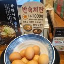 도룡동 우동 맛집, 성심당 우동야 DCC점 후기