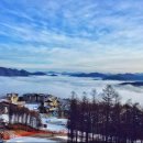 하이원 GDR 골프 아카데미 이미지