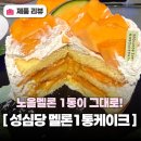 바라케이크 | 성심당 본점 멜론케이크 후기 오픈런 대기표 웨이팅 시간 총정리 멜론1통케이크