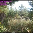 표선면 다목적회관 이미지