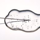 원더여성의원 이미지