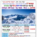 월드라이프