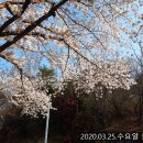 남산레포츠공원 이미지