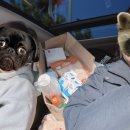 김천실내테니스장 & 김천오토캠핑장 이미지