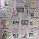 에코 켄넬 이미지