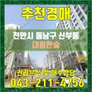 합동대림한숲공인중개사사무소 | 신부동 대림한숲 천안시 동남구 신부동 대림한숲 아파트 경매 천안아파트경매 천안경매