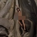 바바나무 이미지