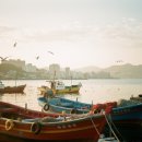 완도종합식품 | 목포·해남·완도 3박4일 완벽 여행 가이드