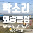 학소리 승마 외승클럽 후기 + 청주 미호천 + feat. 낭만비박 집단가출 촬영지 ~!