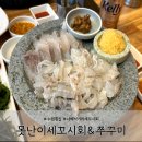 못난이세꼬시회 이미지