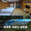 제주녹지리조트2 | 제주 서귀포 샤모니 리조트 2박 솔직 후기