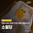 꿈꾸는디저트 이미지