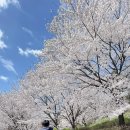 금촌유아숲체험원 이미지