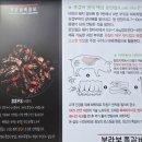 호수공원5로 네이버블로그