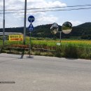 해바라기농산 이미지