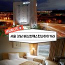 홍대게스트하우스 이미지