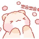 루이펫살롱 이미지
