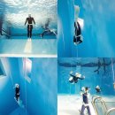 회진로 | 고성 프라디이빙 미트로프리다이빙 고성 잠수풀 강습 후기