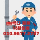 싹디 이미지