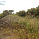 수산리-18 이미지