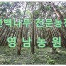 영남화분 이미지
