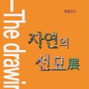 공립인제내설악미술관 이미지