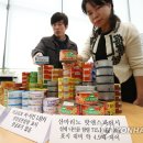 청사참치 이미지