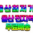 성실종합사무가구