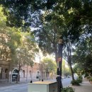 프린스파크호스텔 | [D+5] RSA 쉽지않아요