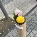 연하동 이미지