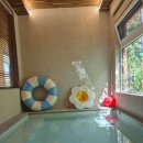 풀빌라 하루 | 제주서가 애월 풀빌라 후기 하루 한 팀만 머무는 숲속 독채 이런 숙소는 처음이었어요