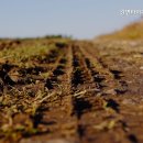 강변타이어할인매장 이미지