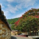 고려동유적지 이미지