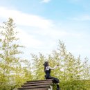 어반벨리801